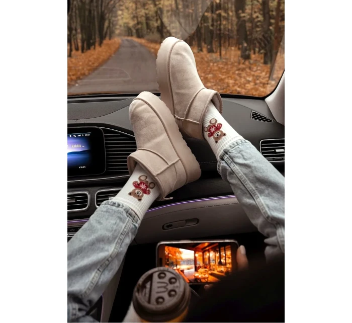 Dámské ponožky  ve 3741 model 20702123 - Milena