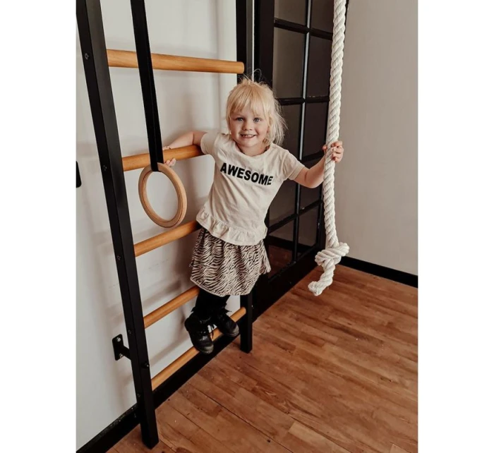 DŘEVĚNÝ KOVOVÝ GYMNASTICKÝ ŽEBŘÍK S DŘEVĚNOU HRAZDOU A PŘÍSLUŠENSTVÍM BENCHK 221B A076 DŘEVĚNÝ KOVOVÝ GYMNASTICKÝ ŽEBŘÍK S DŘEVĚNOU HRAZDOU A PŘÍSLUŠENSTVÍM BENCHK 221B A076