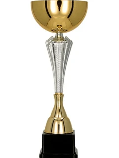 Zlatý a stříbrný kovový pohár