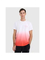 Pánské tričko s potiskem 4F 4FRAW25TTSHM3226-62S Pánské tričko s potiskem 4F 4FRAW25TTSHM3226-62S