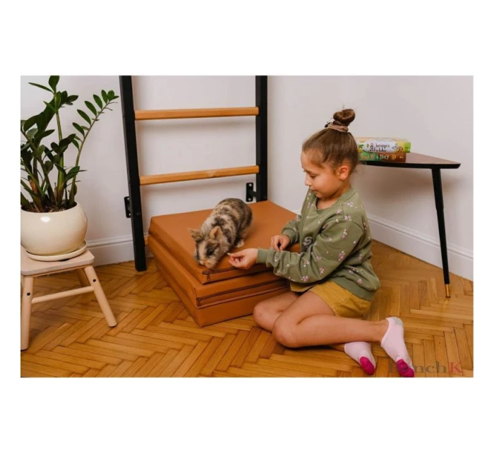 SKLÁDACÍ GYMNASTICKÁ MATRACE HNĚDÁ 180CM BENCHK SKLÁDACÍ GYMNASTICKÁ MATRACE HNĚDÁ 180CM BENCHK