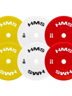 (2 x   MÍČ 2 x KG model 21818256 - HMS