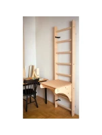 DŘEVĚNÝ ŽEBŘÍK PRO BENCHK BT204 PULL-UP BAR