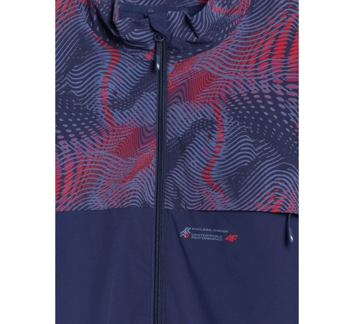 Pánská mikina s kapucí model 21877677 - 4F Pánská mikina s kapucí model 21877677 - 4F