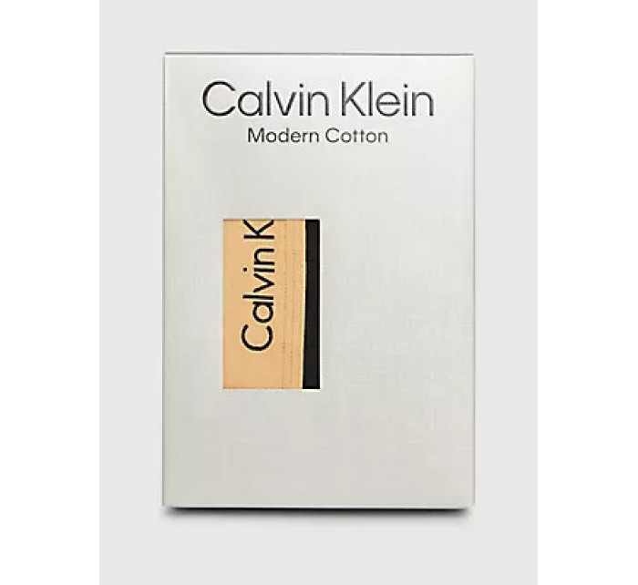 Spodní prádlo Pánské spodní prádlo TRUNK 000NB2156AG9C - Calvin Klein