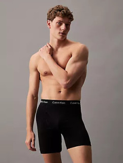 Pánské spodní prádlo BOXER BRIEF 3PK 000NB2616ANLT - Calvin Klein