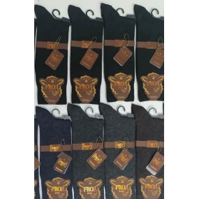 Ponožky s vlnou model 21888293 - HENDERSON LADIES