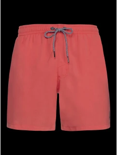 Pánské plážové šortky Protest DAVEY 