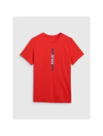 Pánské tričko s potiskem model 21756908 - 4F Pánské tričko s potiskem model 21756908 - 4F