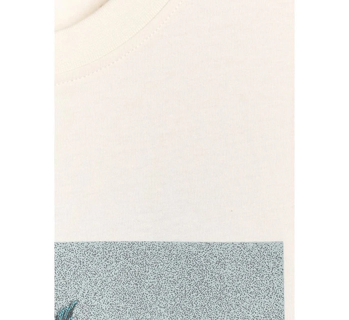 Pánské tričko s potiskem 4F model 22088376 - Hikvision