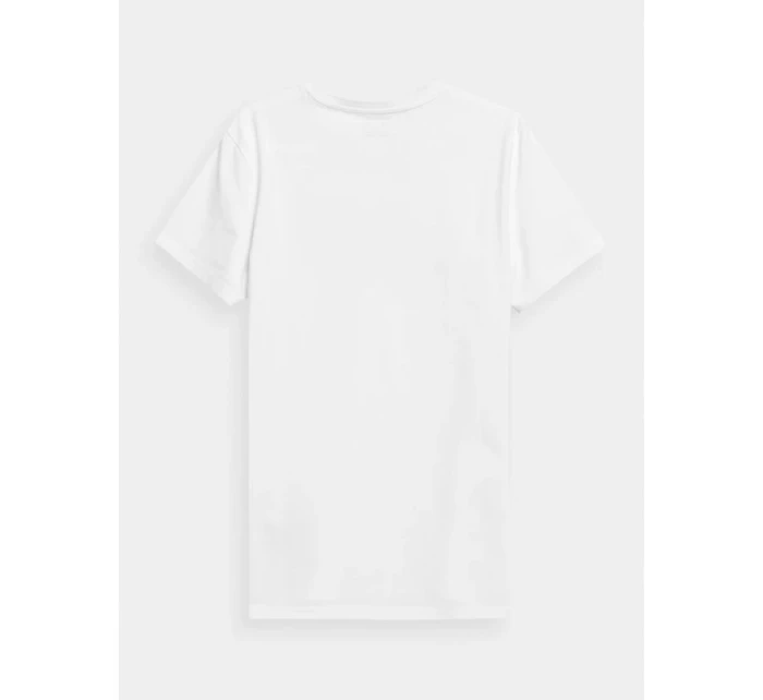 Pánské tričko s potiskem model 21432848 pánské - 4F Pánské tričko s potiskem model 21432848 pánské - 4F