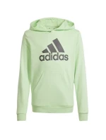 Mikina adidas Big Logo Hoodie Jr IS2591 Mikina adidas Big Logo Hoodie Jr IS2591