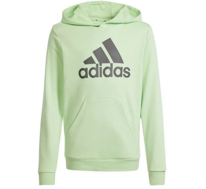 Mikina adidas Big Logo Hoodie Jr IS2591 Mikina adidas Big Logo Hoodie Jr IS2591