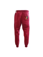 Tepláky Air Jordan Flight MVP - FB7027-619