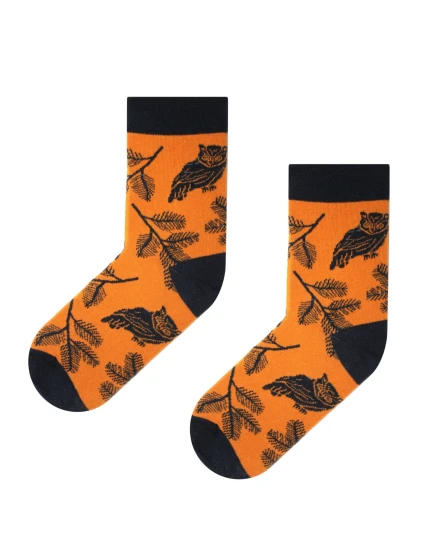 Obrázkové ponožky Funny  model 18924573 - Skarpol