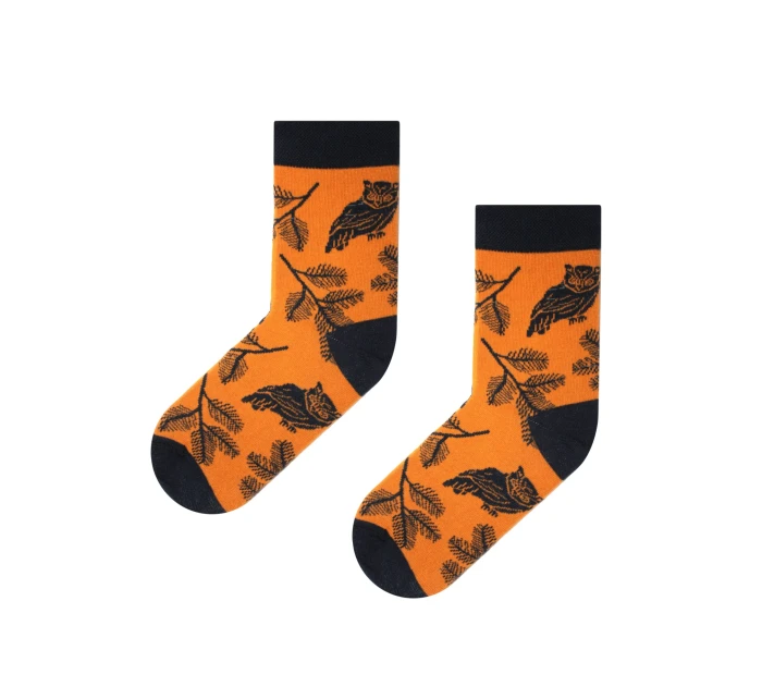 Obrázkové ponožky Funny  model 18924573 - Skarpol