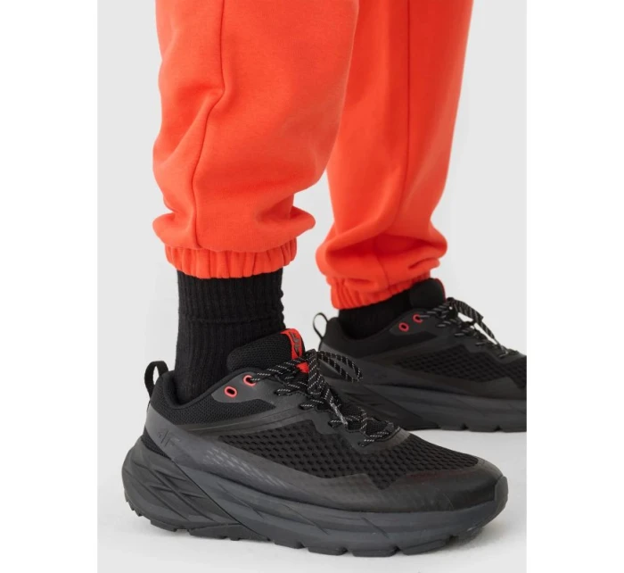 Pánské tepláky typu jogger model 21433039 - 4F Pánské tepláky typu jogger model 21433039 - 4F