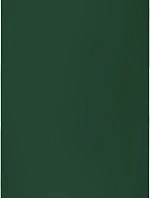 The One Towelling Classic 100 Plážová osuška "Classic" 48.1001 green