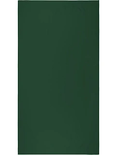 Classic 100 Plážová osuška "Classic" model 22526908 green - The One Towelling