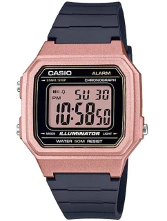 Hodinky CASIO W-217HM-5AVDF+ BOX