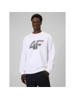 Pánská mikina bez kapuce model 21877664 - 4F