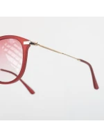 model 21358183 - Iguana