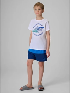 Chlapecké plážové šortky boardshorts model 22215422 - 4F