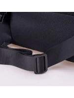 model 21355968 - Iguana