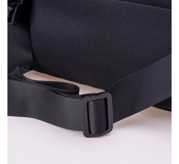 model 21355968 - Iguana