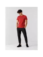 Tričko 4F M 4FSS23TTSHM539-62S pánské