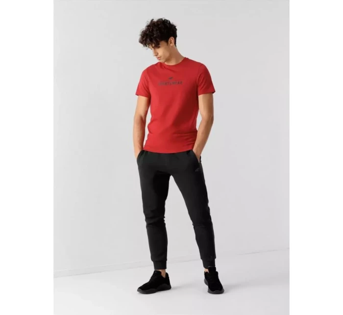 Tričko 4F M 4FSS23TTSHM539-62S pánské