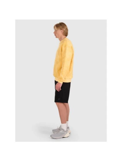 Pánská mikina s kapucí bez  model 21730414 - 4F