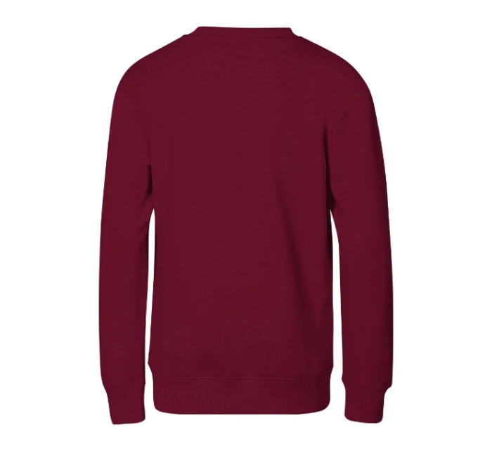 Crew mikina dětská model 21909056 - MALFINI, a.s.