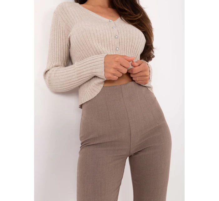 Spodnie IT SP model 21302508 ciemny bezowy - FPrice Spodnie IT SP model 21302508 ciemny bezowy - FPrice