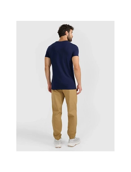 Pánské tepláky typu jogger model 22073485 - 4F Pánské tepláky typu jogger model 22073485 - 4F