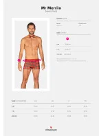 Pánský set Mr Merrilo boxer shorts + motýlek - Obsessive Pánský set Mr Merrilo boxer shorts + motýlek - Obsessive