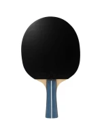 model 21858483 NA STOLNÍ TENIS TEAM PREMIUM - Joola