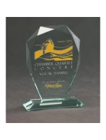 Trofeum szklane grawerowane z etui model 21828714 farbą