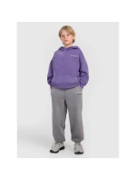 Chlapecké tepláky joggers model 21877646 - 4F Chlapecké tepláky joggers model 21877646 - 4F