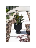 Květinový rybník MILLY, 24 cm v průměru BÍLÝ