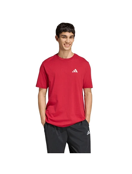 Pánské tričko Outdoor Mountain Graphic Tshirt red pánské model 22059905 - ADIDAS