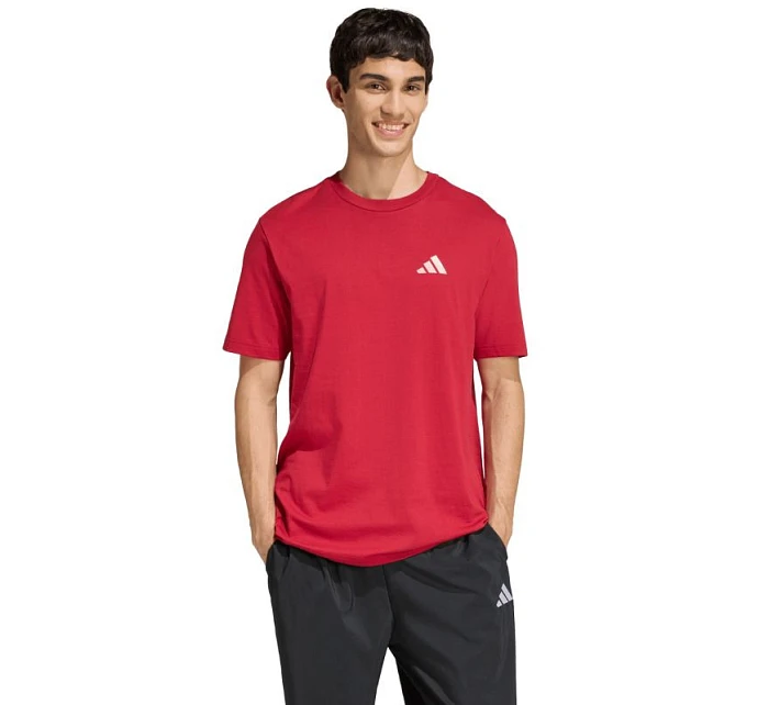 Pánské tričko Outdoor Mountain Graphic Tshirt red pánské model 22059905 - ADIDAS