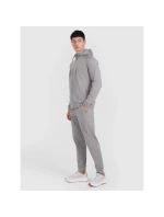 Spodnie  męskie model 21460734 - 4F