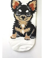 Nohy   3542 model 22126893 - WiK