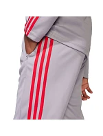 Kalhoty adidas Squadra 25 Training Jr JP3369