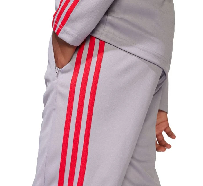 Kalhoty adidas Squadra 25 Training Jr JP3369