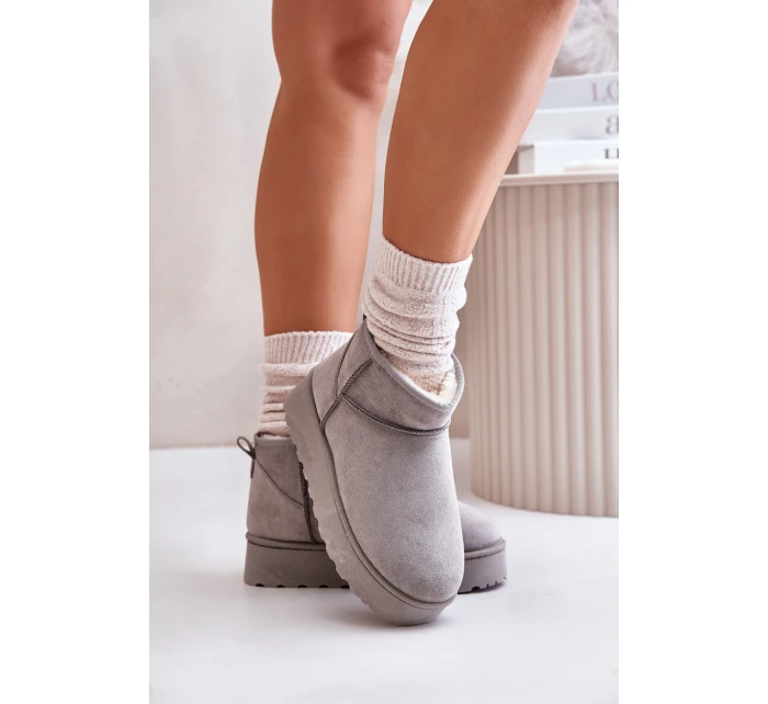 Dámské Sněhule Na Platformě Zateplené Kožíškem Šedé model 21672076 - Boto Dámské Sněhule Na Platformě Zateplené Kožíškem Šedé model 21672076 - Boto