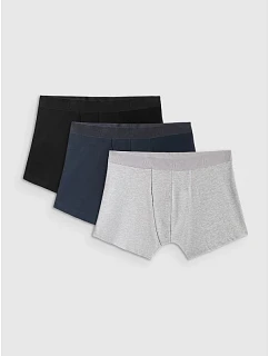 Pánské boxerky (3 balení) 4F 4FRSS26UBXSM103-90S