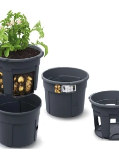 DONICZKA DO   dětské model 21831770