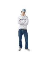 Mikina s kapucí M model 21719604 pánské - CHAMPION